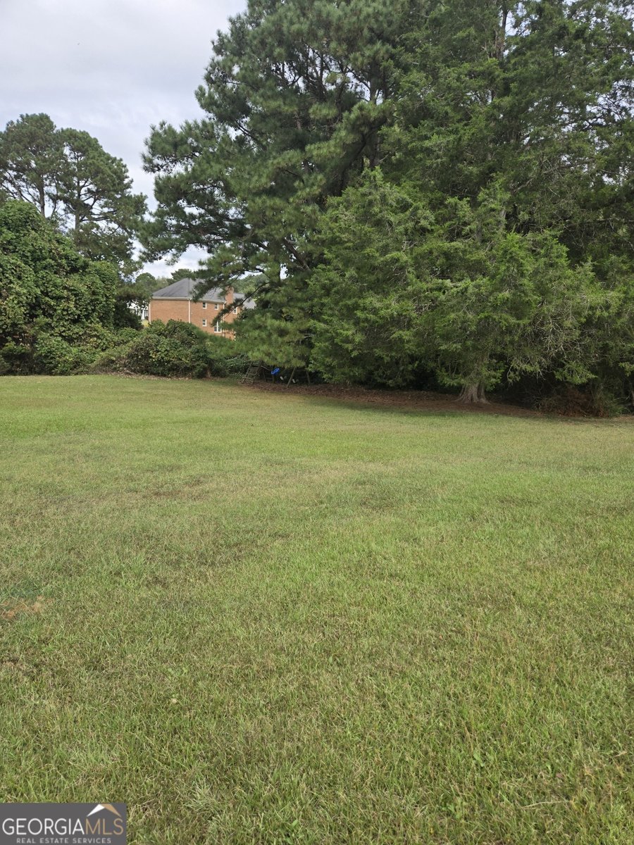 952 Jimson Drive Conyers - 19
