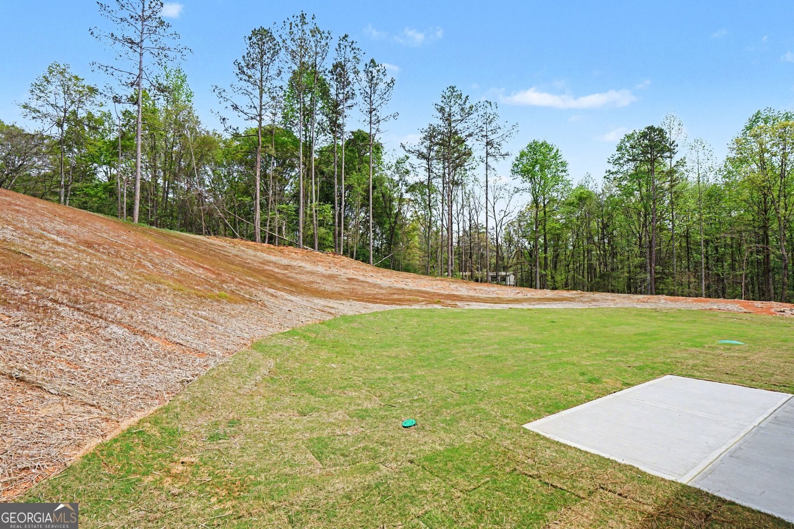 939 Eagle Heights Drive Maysville - Photo 29