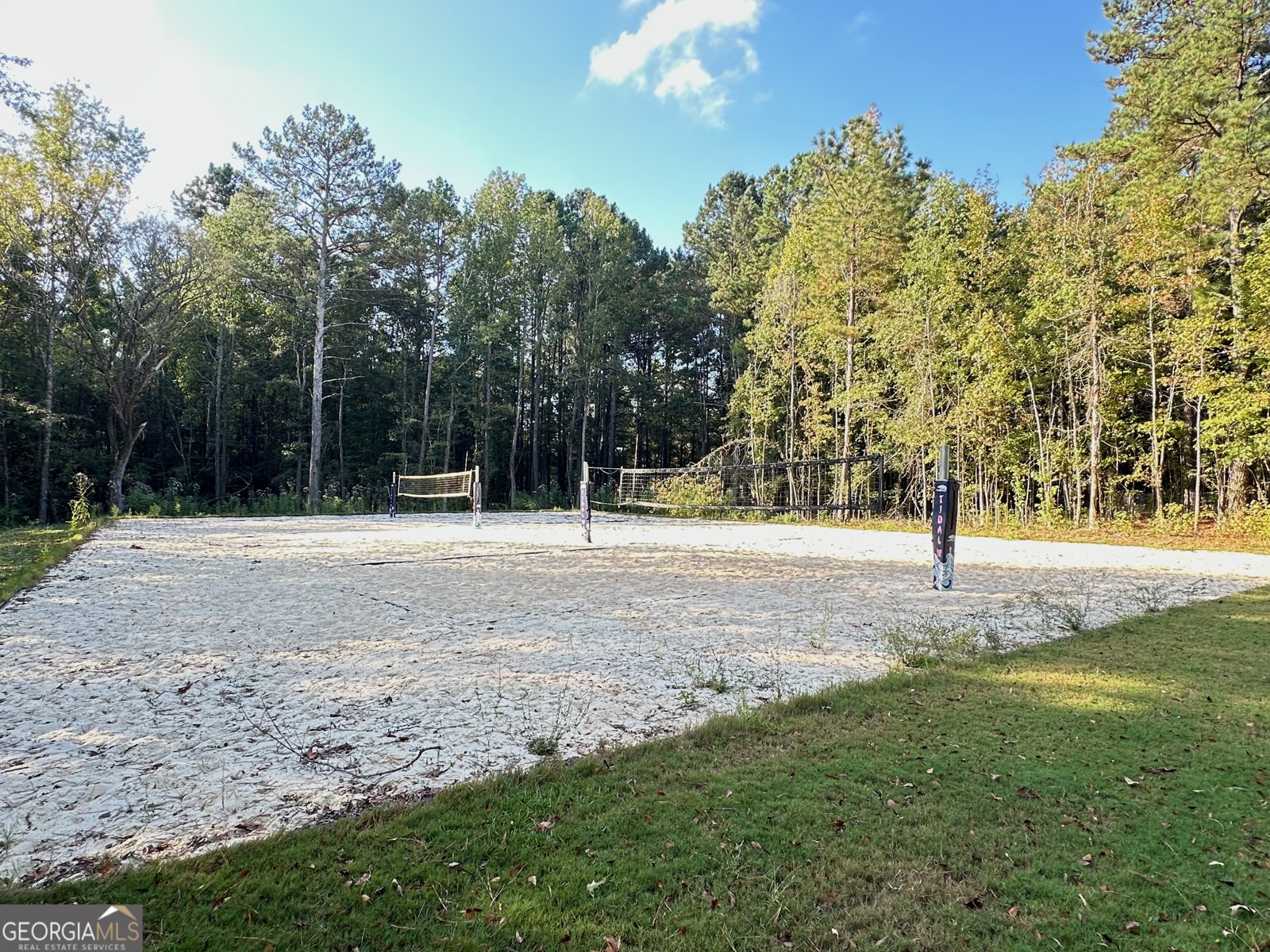 155 Chantilly Lane Fayetteville - 37