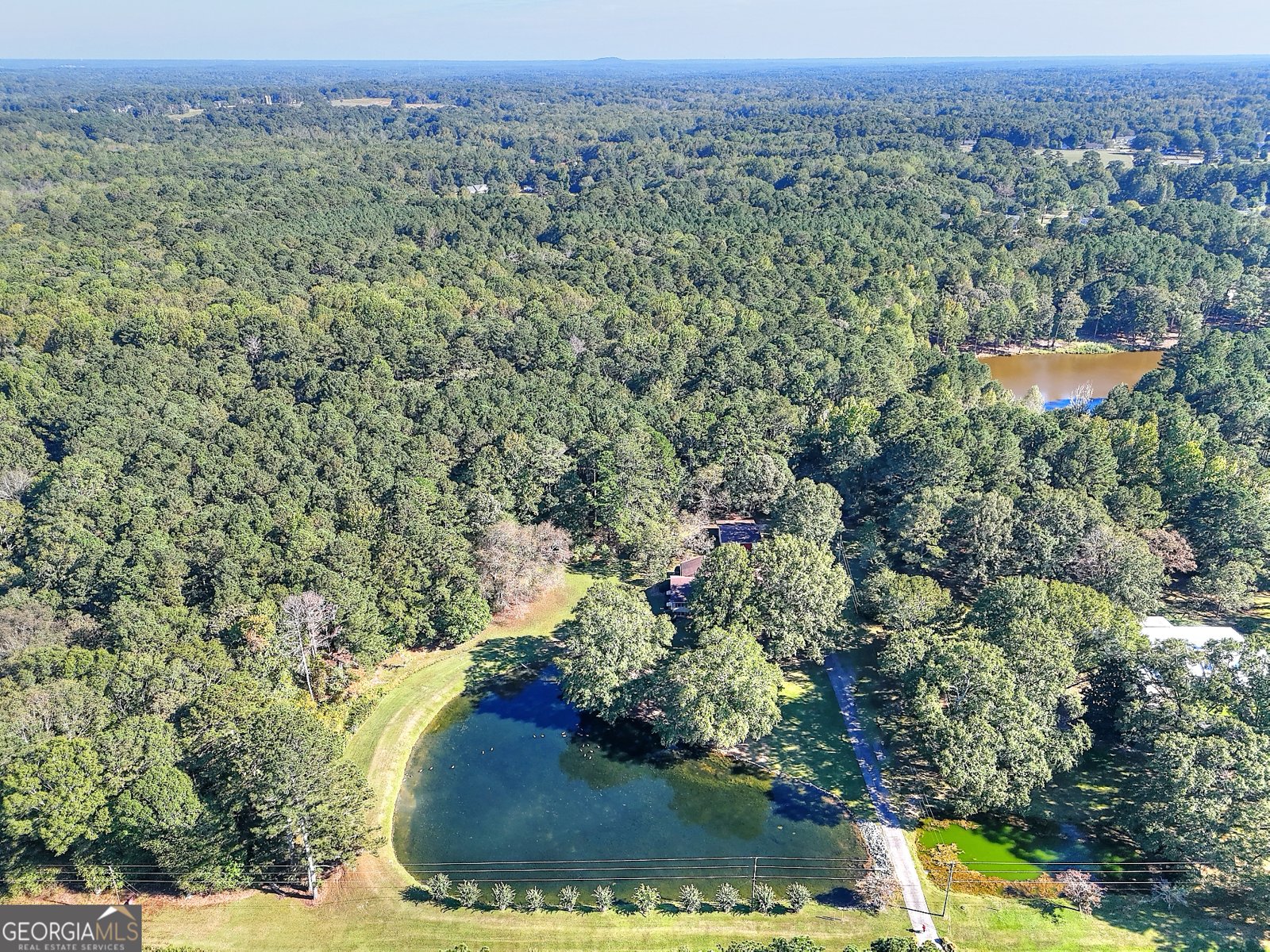 3520 Tom Brewer Road Loganville - 49