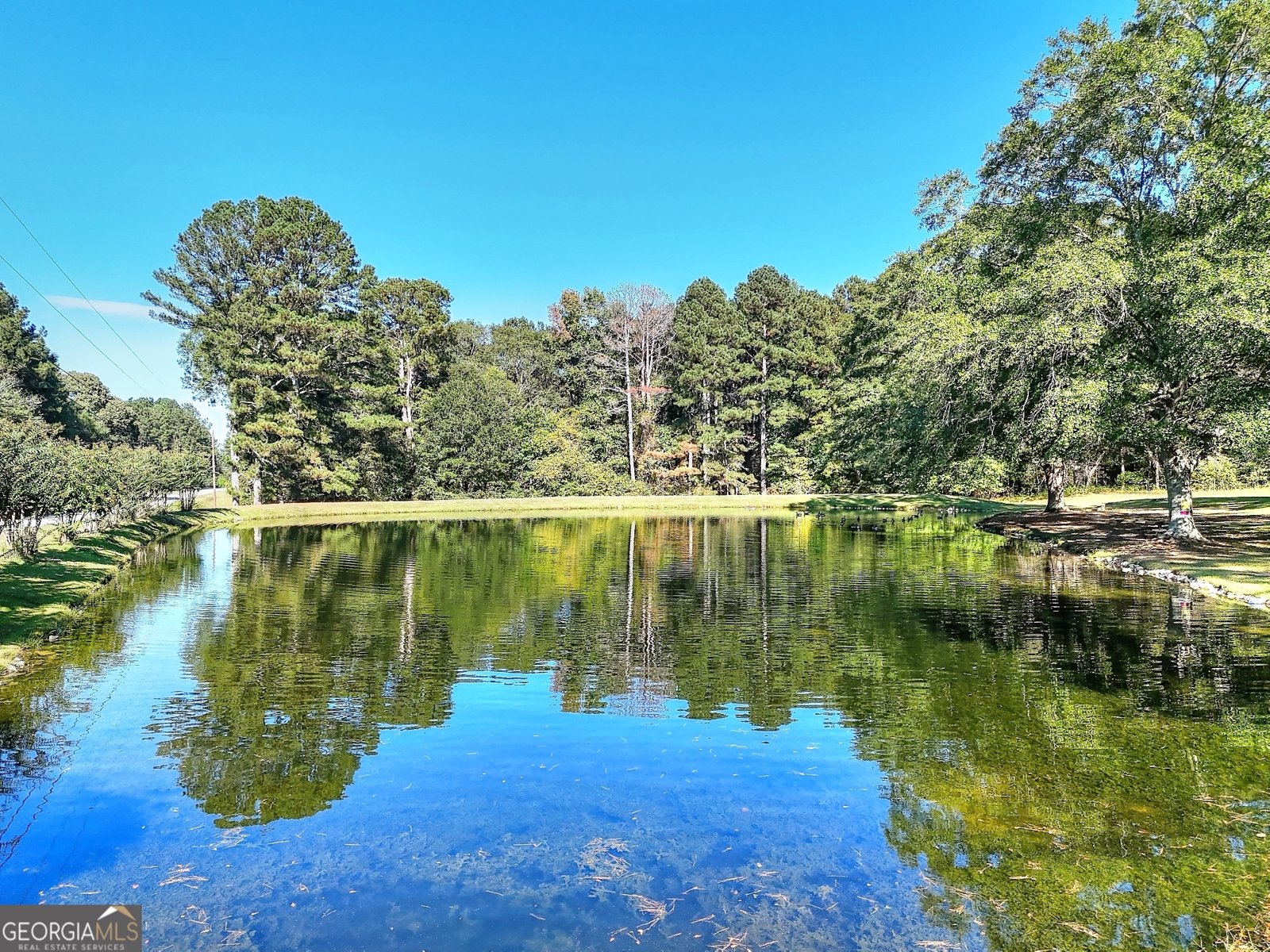 3520 Tom Brewer Road Loganville - 6