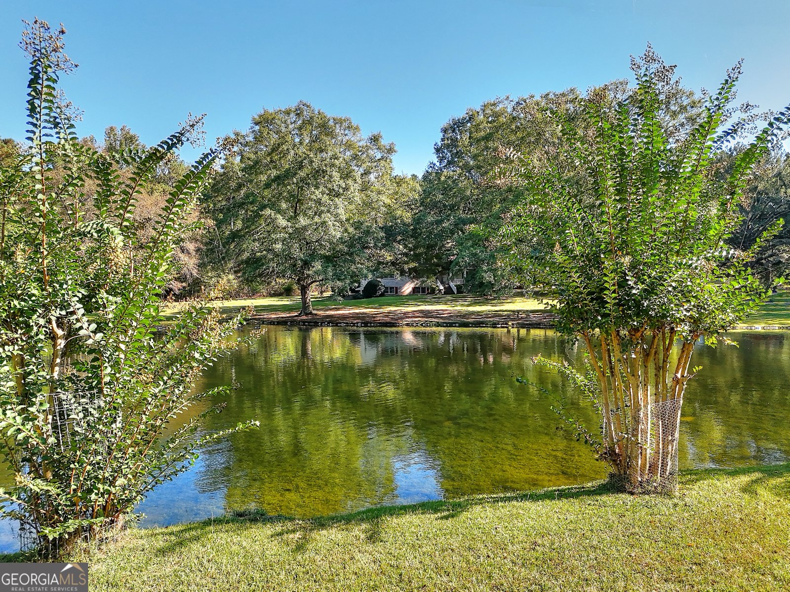 3520 Tom Brewer Road Loganville - 61