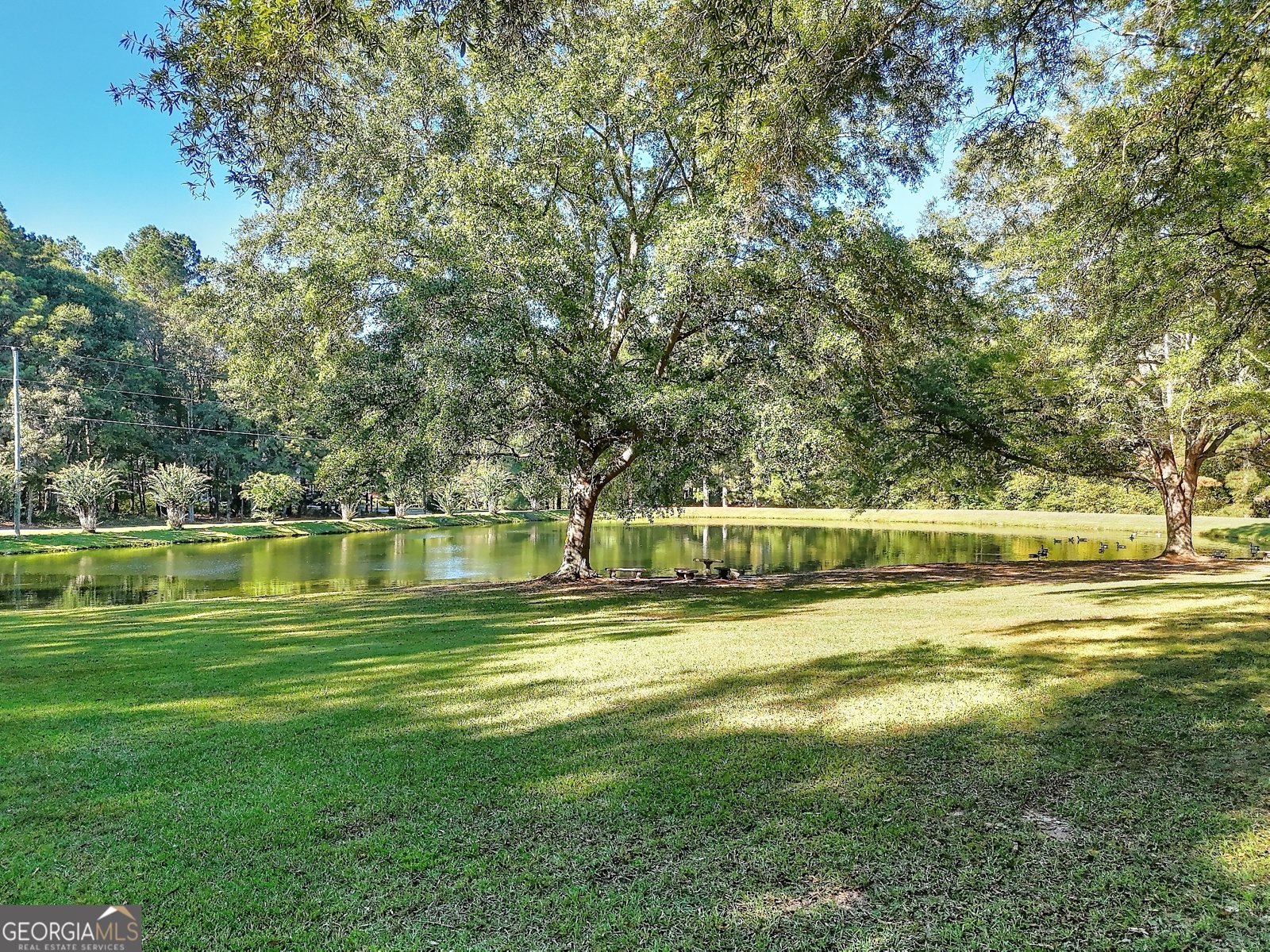 3520 Tom Brewer Road Loganville - 7