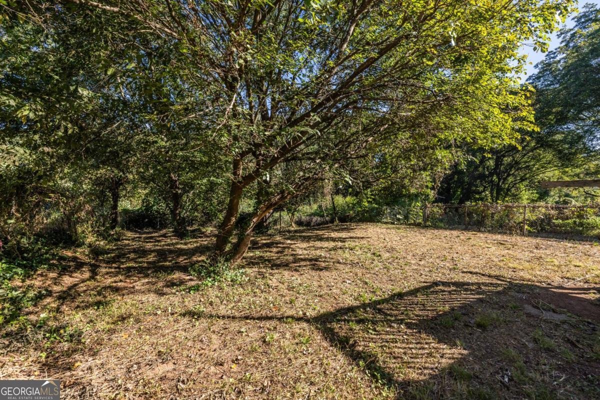 1039 Astor Avenue Atlanta - 23