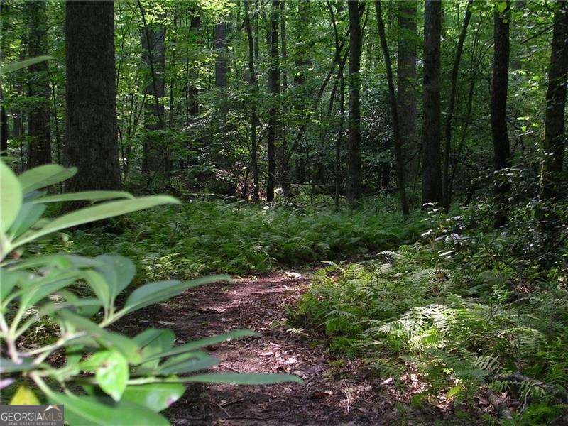 106 Red Cloud Walk Waleska - 9