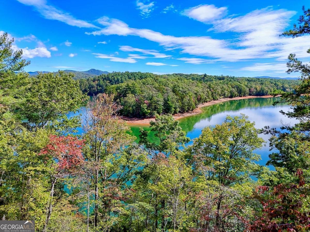11 Falcon Drive Blairsville - 5