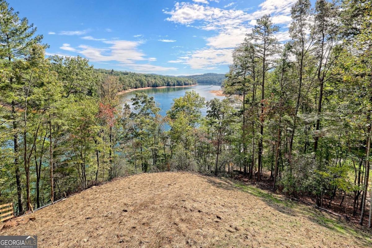 11 Falcon Drive Blairsville - 70