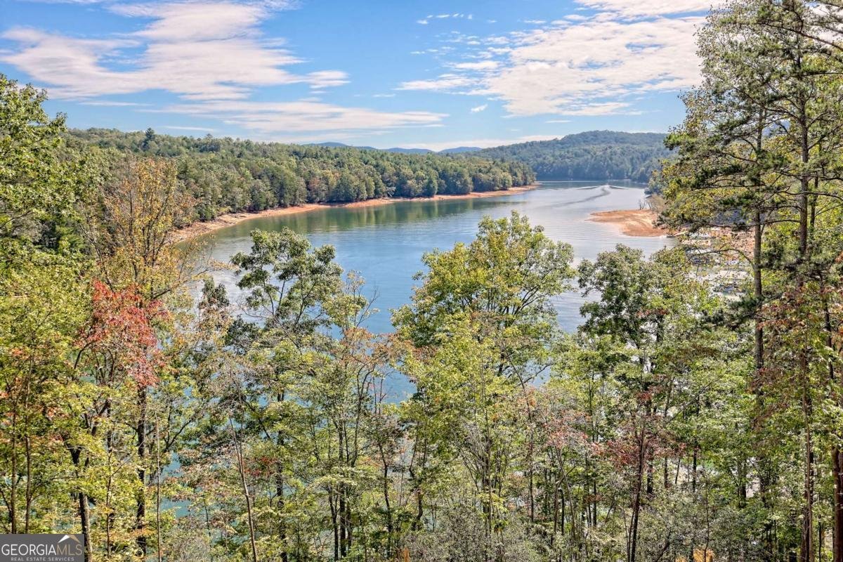 11 Falcon Drive Blairsville - 71