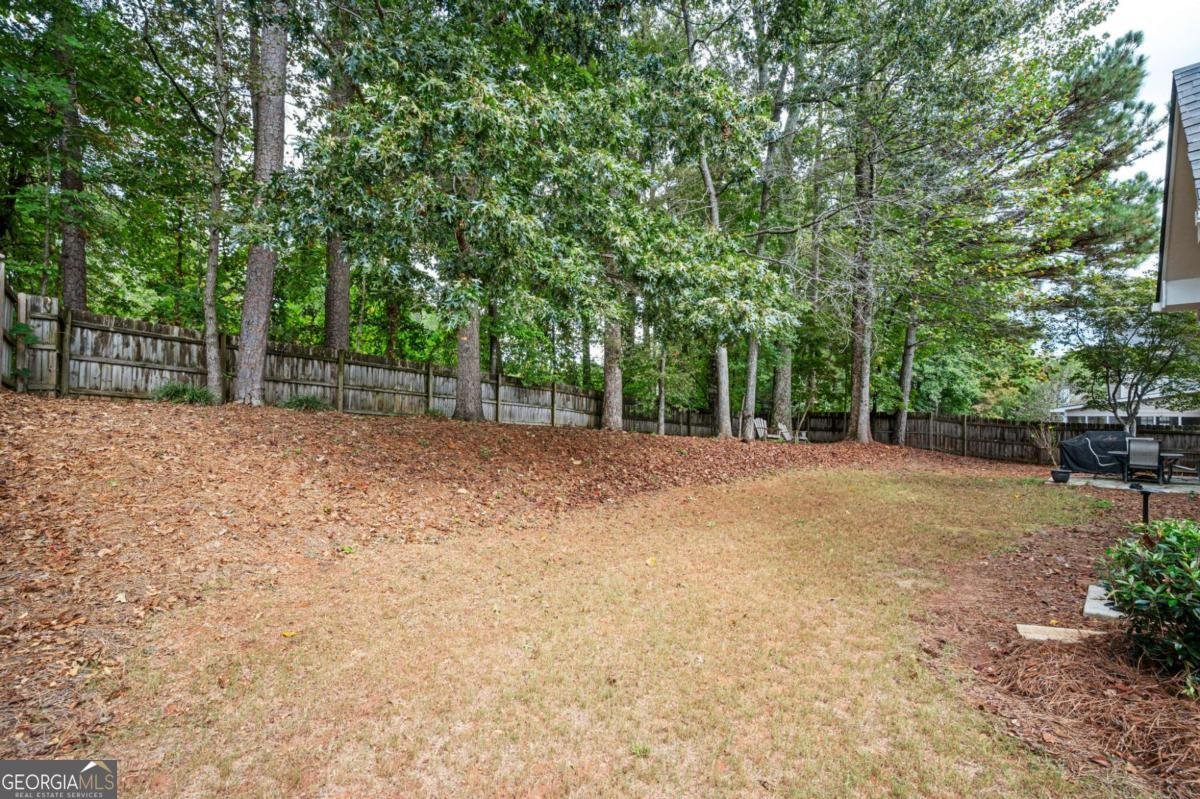 2045 Mclain Road Acworth - 48