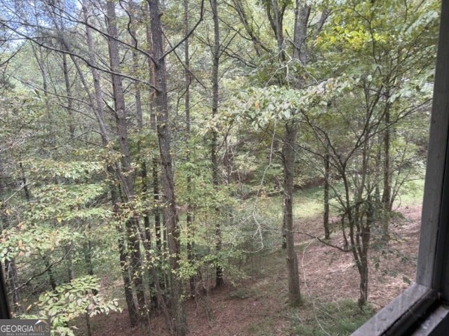 20 Eagle Mountain Villa Court Ellijay - 18