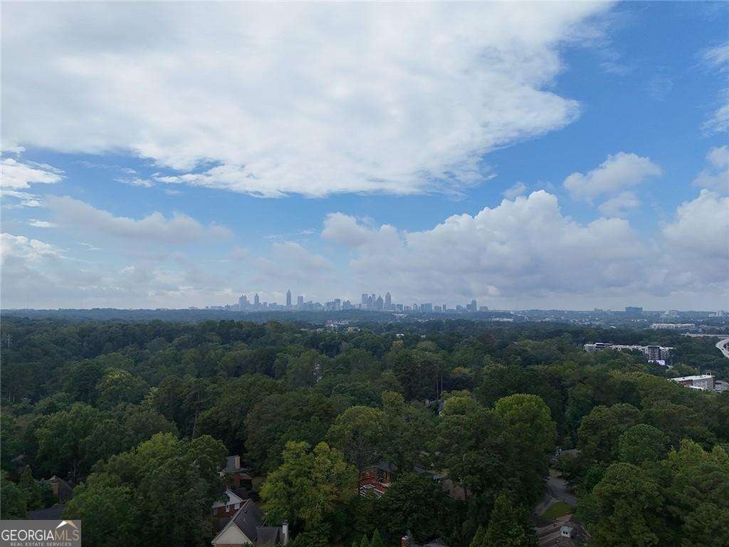 1153 Chantilly Ridge Atlanta - 43