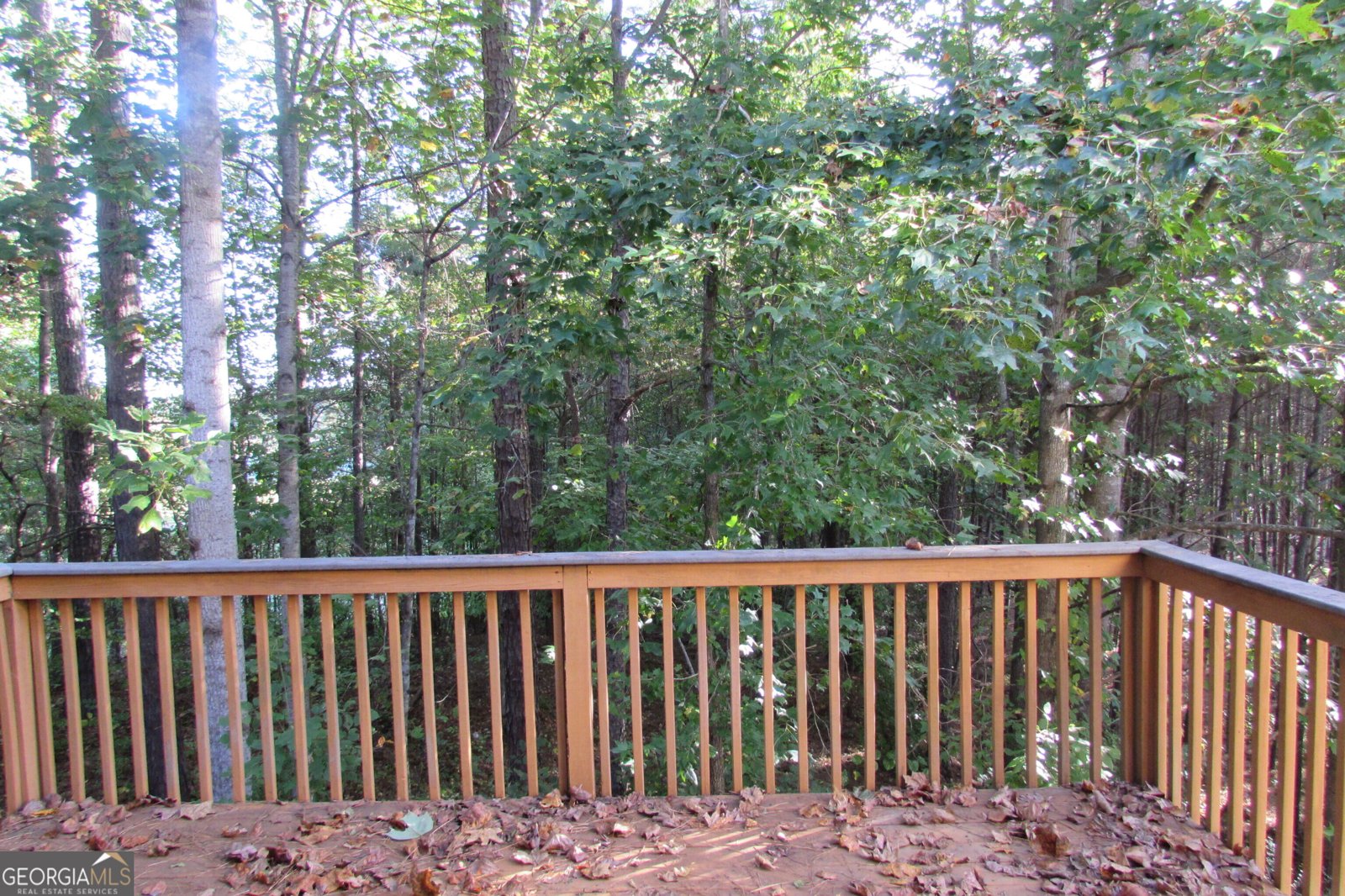 2552 Wolf Den Lane Atlanta - 23