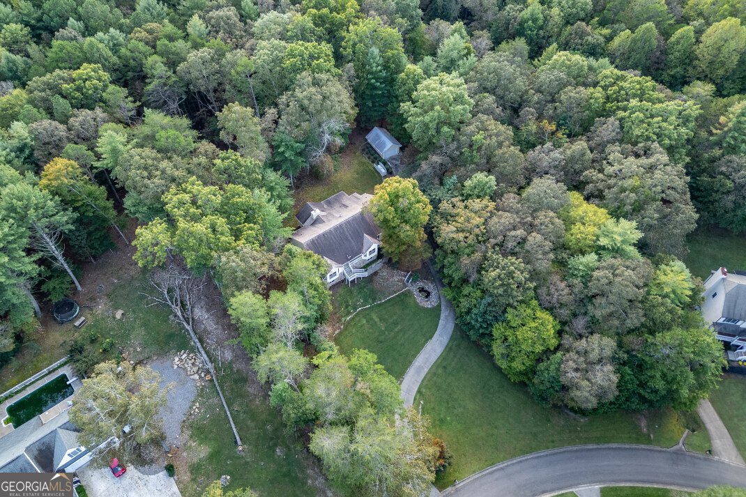 409 Owensby Mill Drive Ellijay - 78