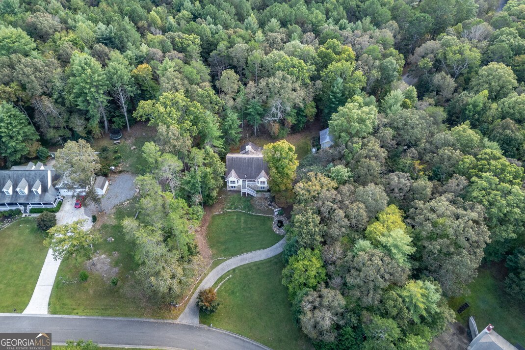 409 Owensby Mill Drive Ellijay - 79