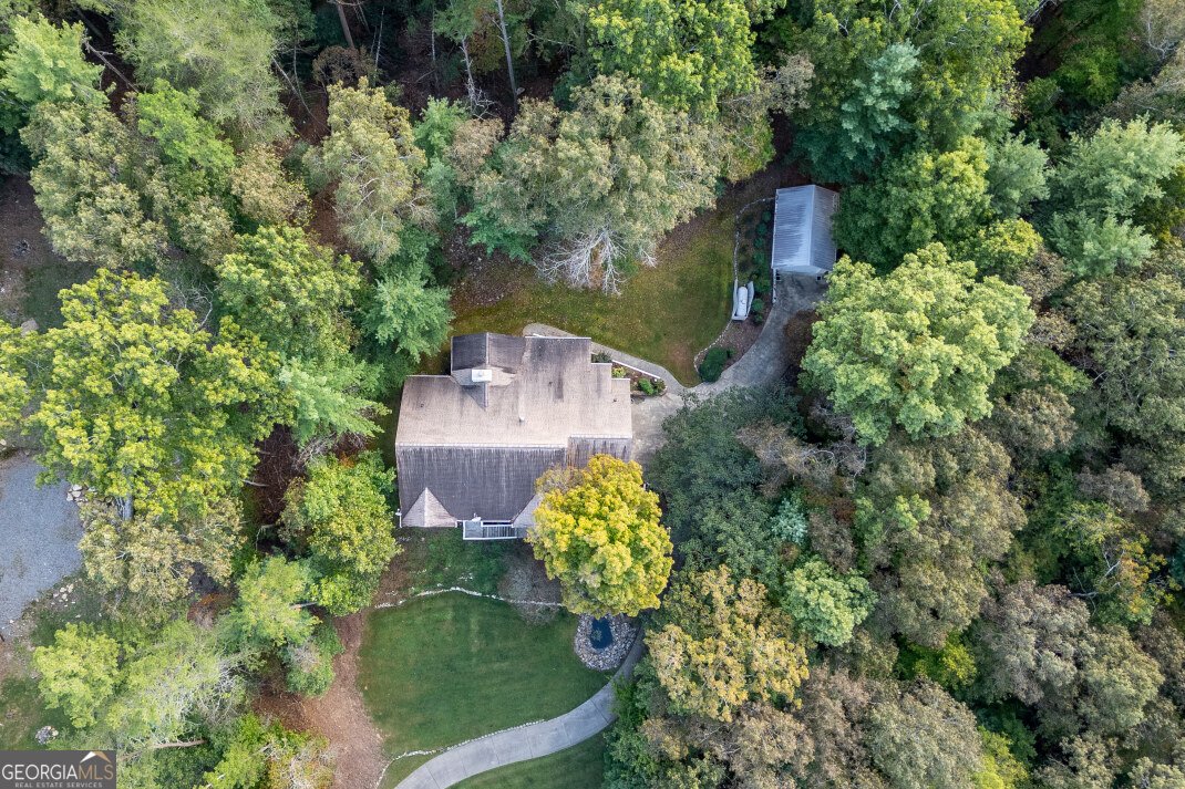 409 Owensby Mill Drive Ellijay - 81