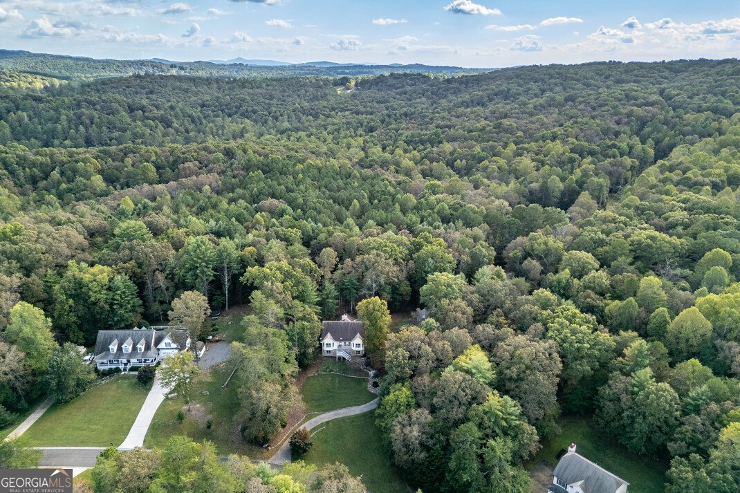 409 Owensby Mill Drive Ellijay - 82