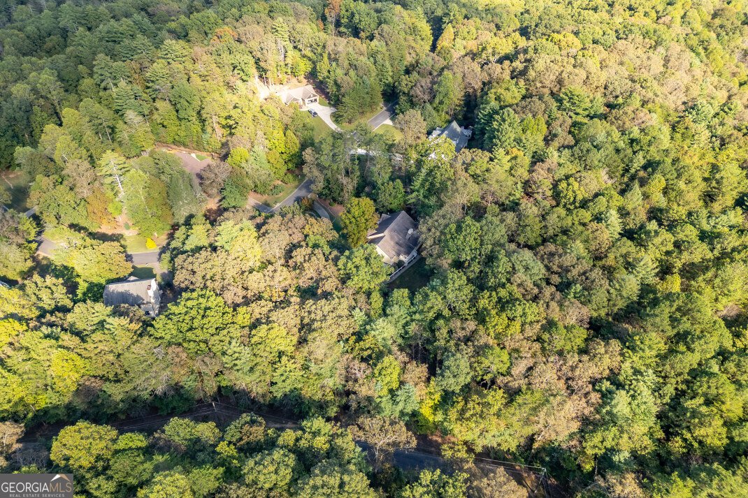 409 Owensby Mill Drive Ellijay - 83