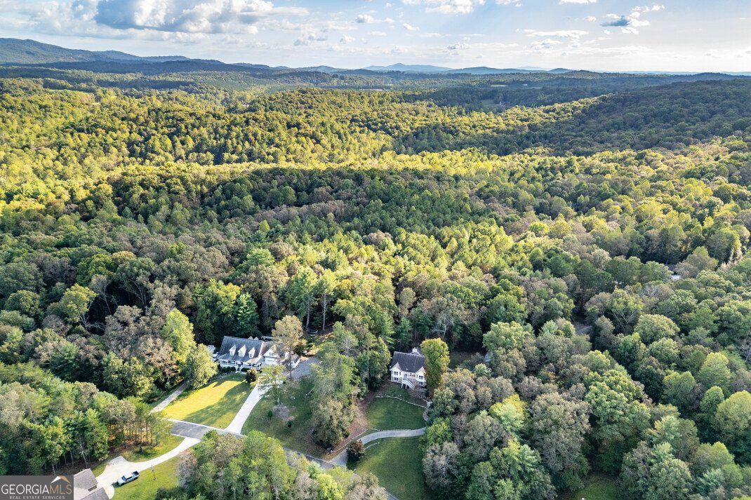 409 Owensby Mill Drive Ellijay - 84