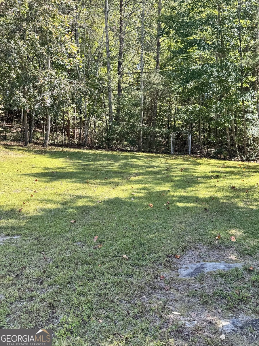 6243 Malibu Ridge Flowery Branch - 19