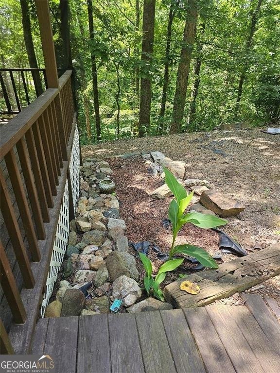335 Patriot Trail Canton - 11