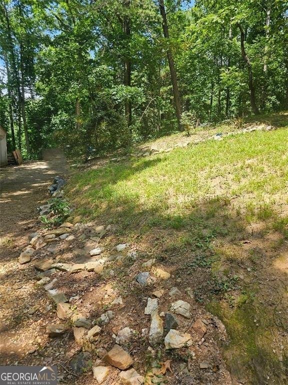 335 Patriot Trail Canton - 13