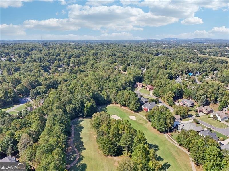 6640 Bridlewood Way Suwanee - 43