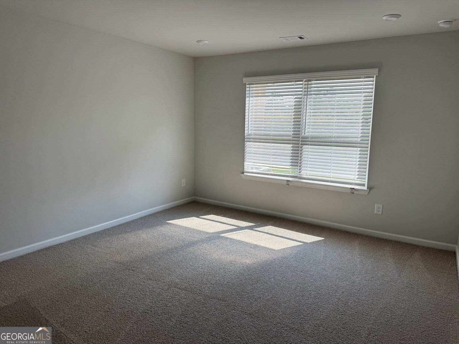 57 Silver Leaf Lane Dawsonville - 9