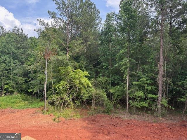 110 Liberty Freedom Lane Maysville - 34