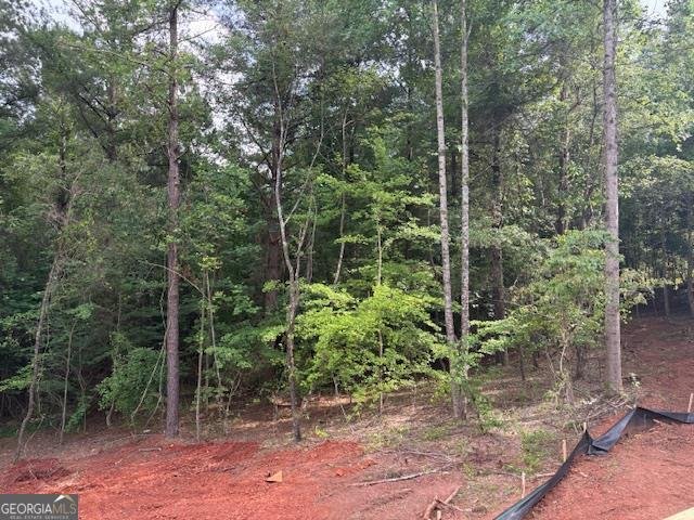 110 Liberty Freedom Lane Maysville - 35