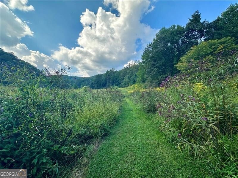 130 Cove View Lane Clarkesville - 18