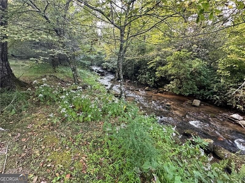 130 Cove View Lane Clarkesville - 19