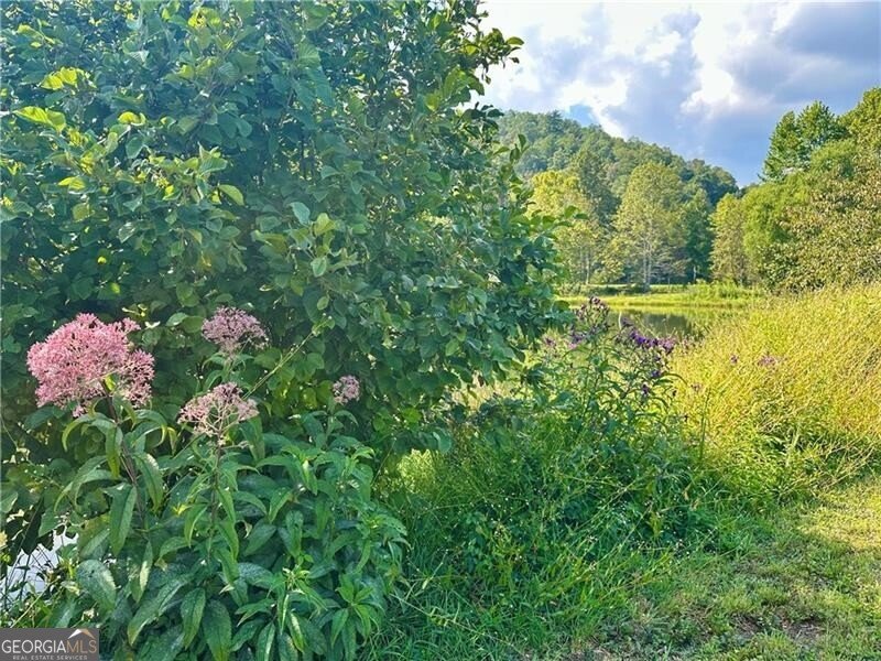 130 Cove View Lane Clarkesville - 21