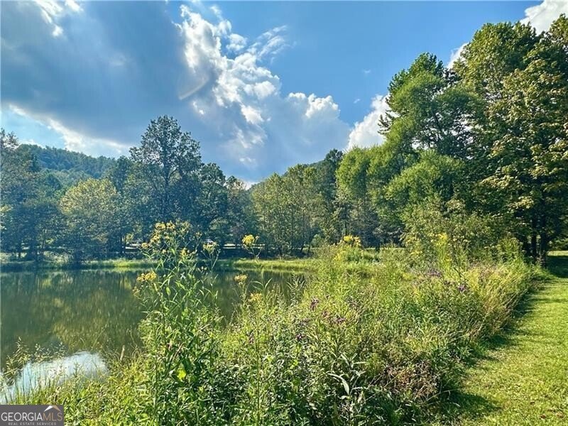 130 Cove View Lane Clarkesville - 22