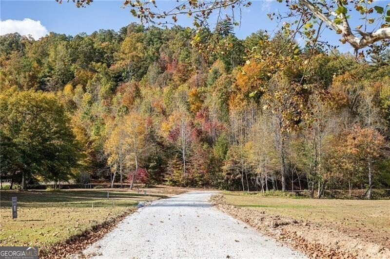130 Cove View Lane Clarkesville - 8