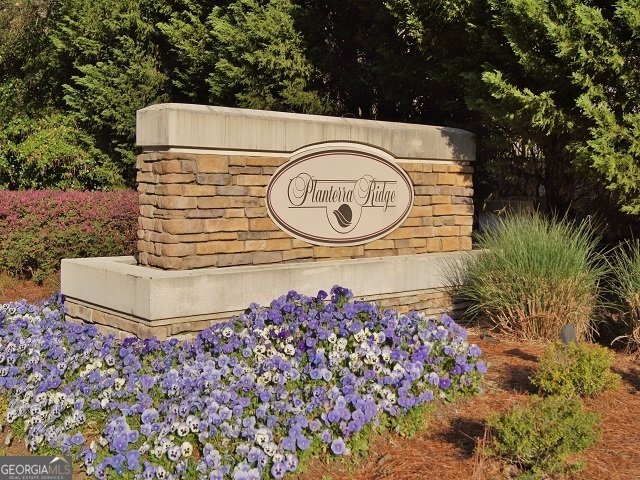 228 Terrane Ridge Peachtree City - 24