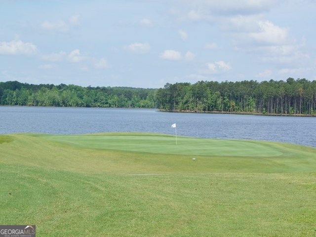 228 Terrane Ridge Peachtree City - 26