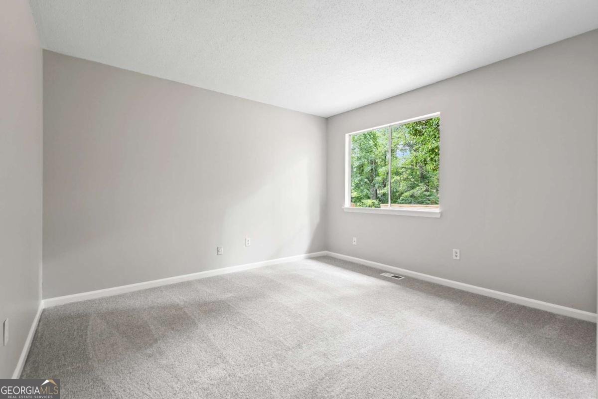 9438 Cedar Creek Place Douglasville - 12