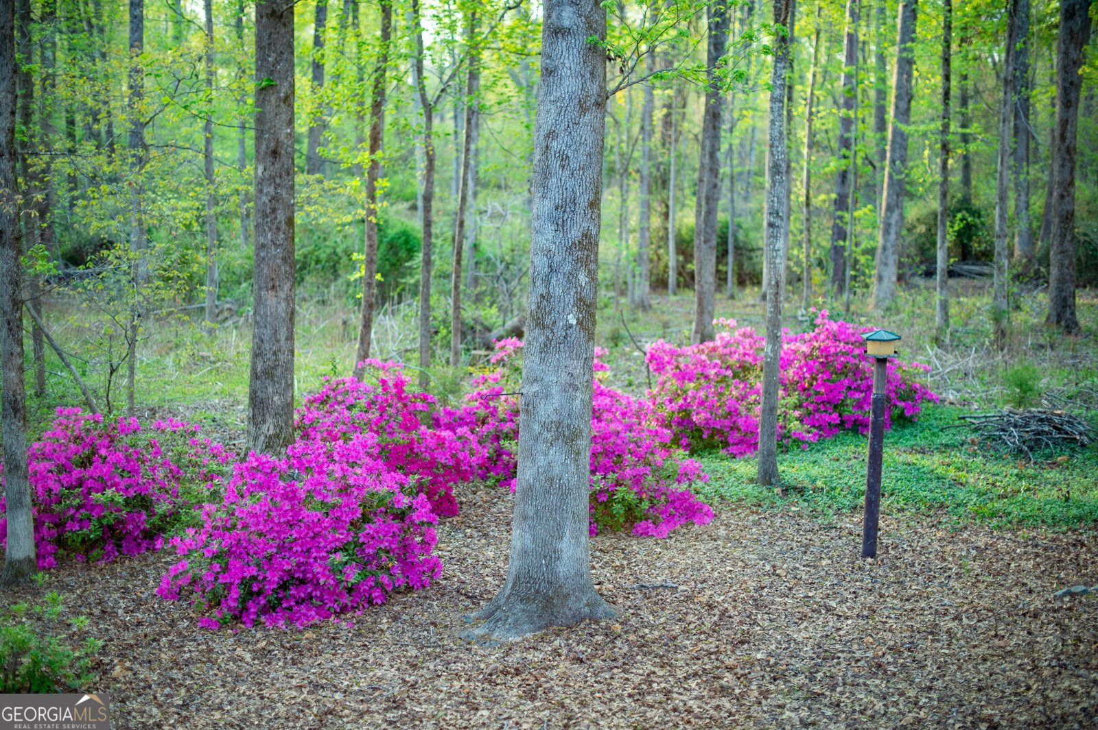 1039 Smyrna Road Conyers - 78