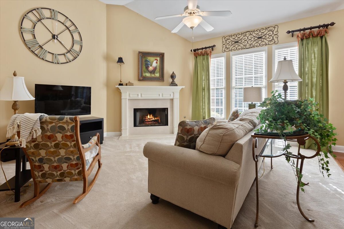 537 Oriole Farm Trail Canton - 6