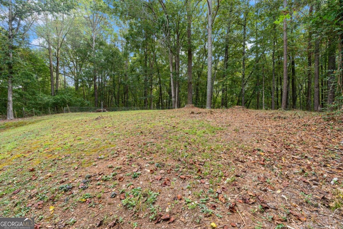 2915 Wilkes Plantation Way Douglasville - 7