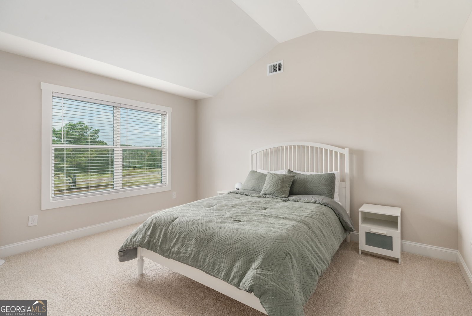 291 Millie Trail Williamson - 33