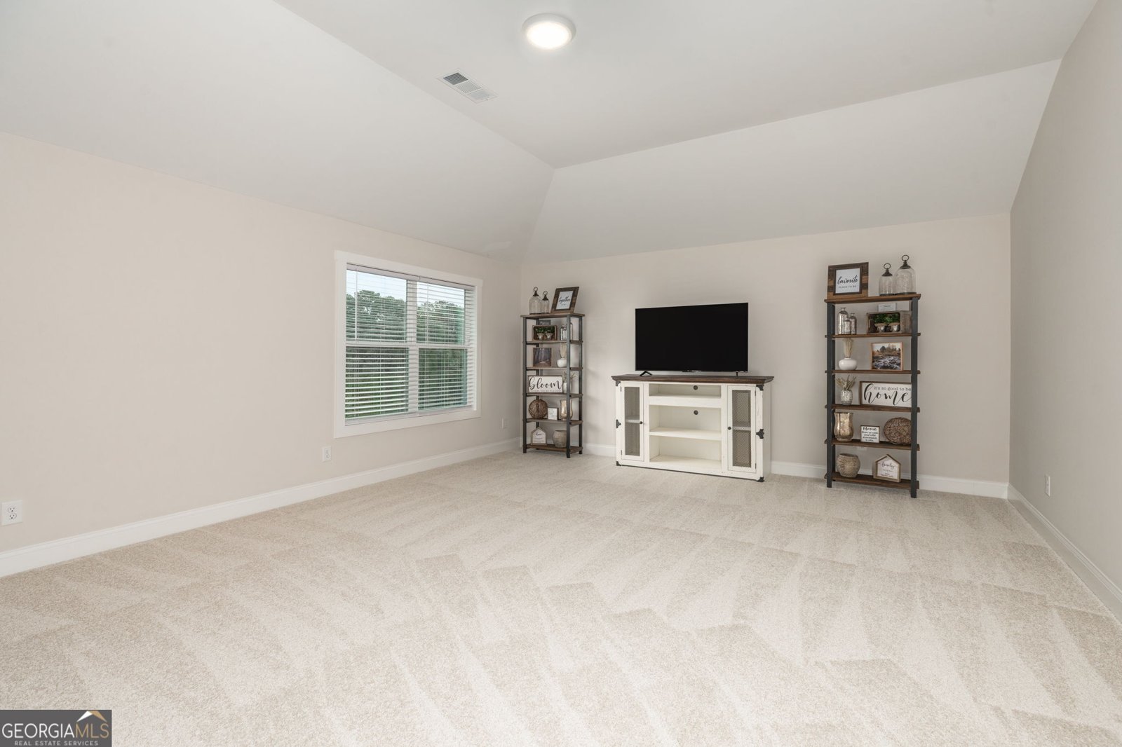 291 Millie Trail Williamson - 42
