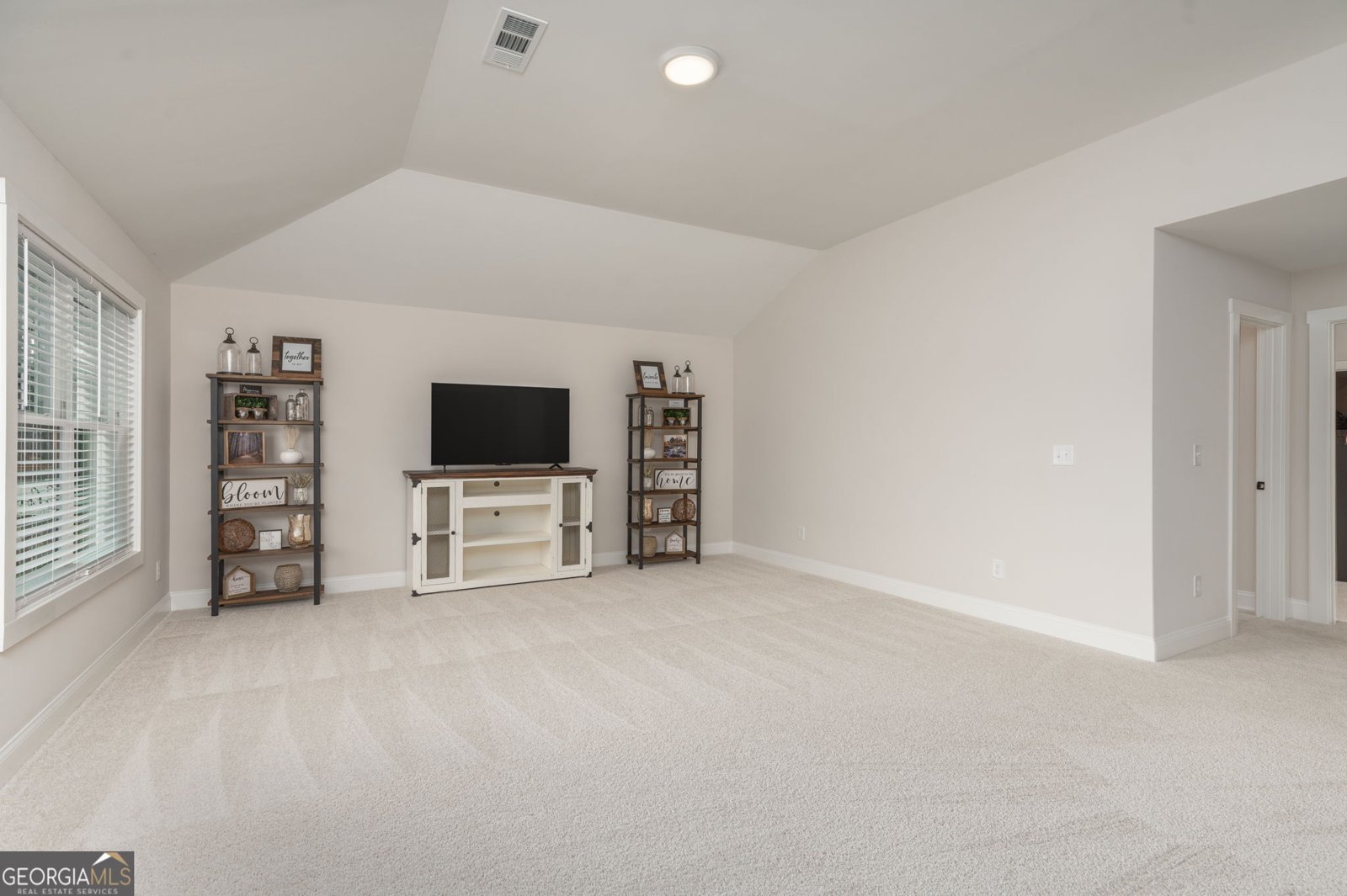 291 Millie Trail Williamson - 43