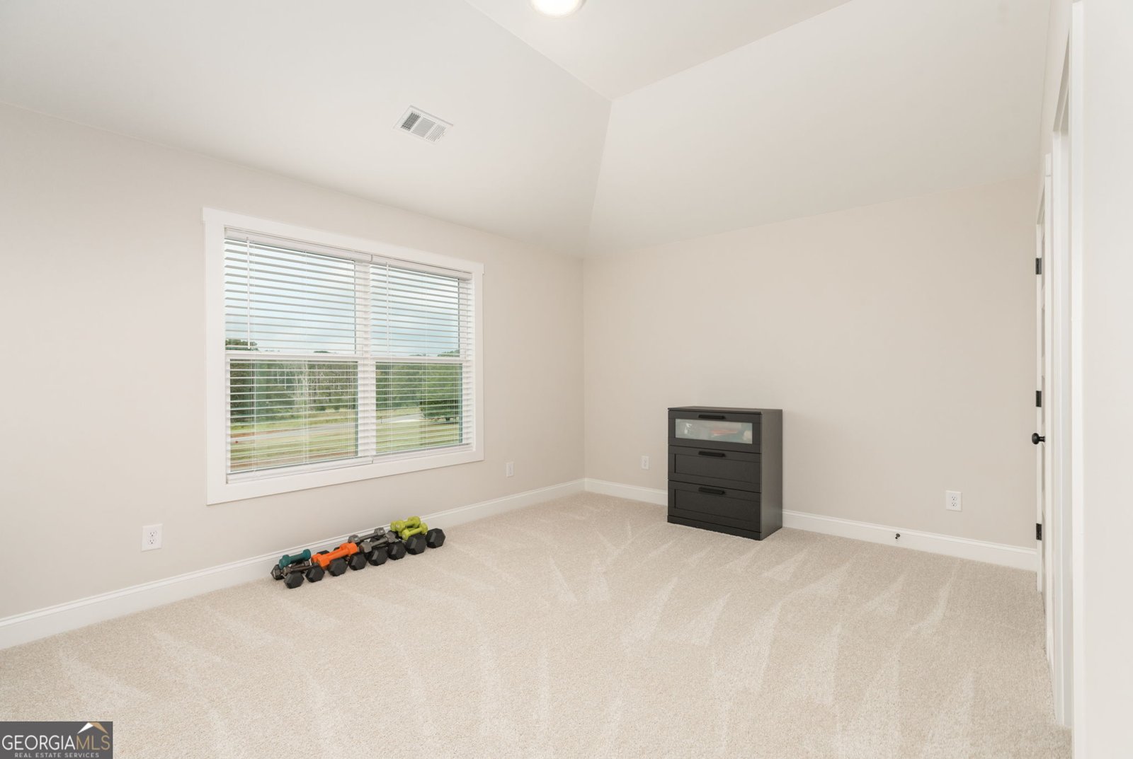 291 Millie Trail Williamson - 44