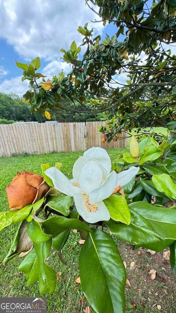 19 Laura Lane Ringgold - 4