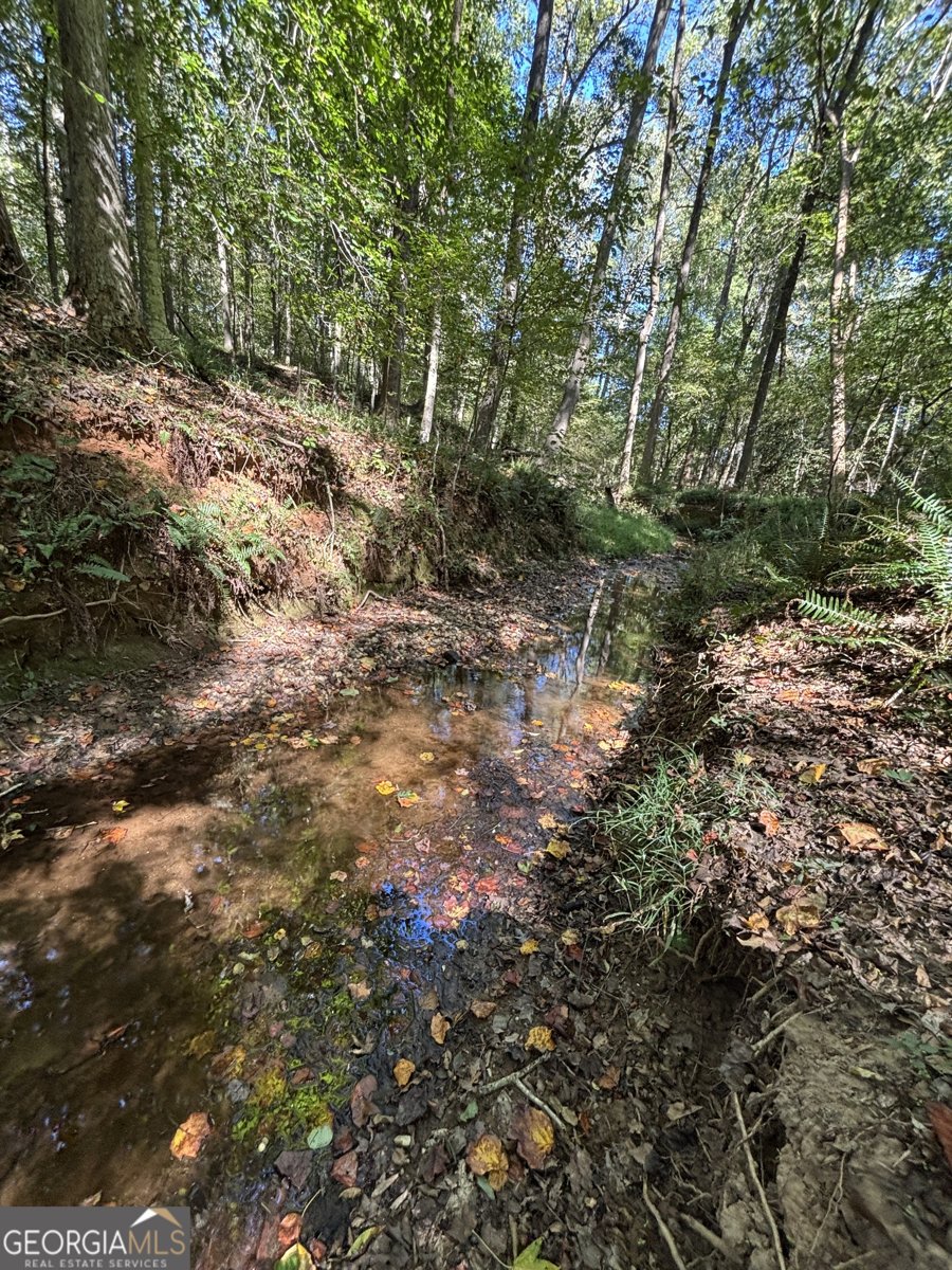 3170 Monticello Hwy Road Madison - 21