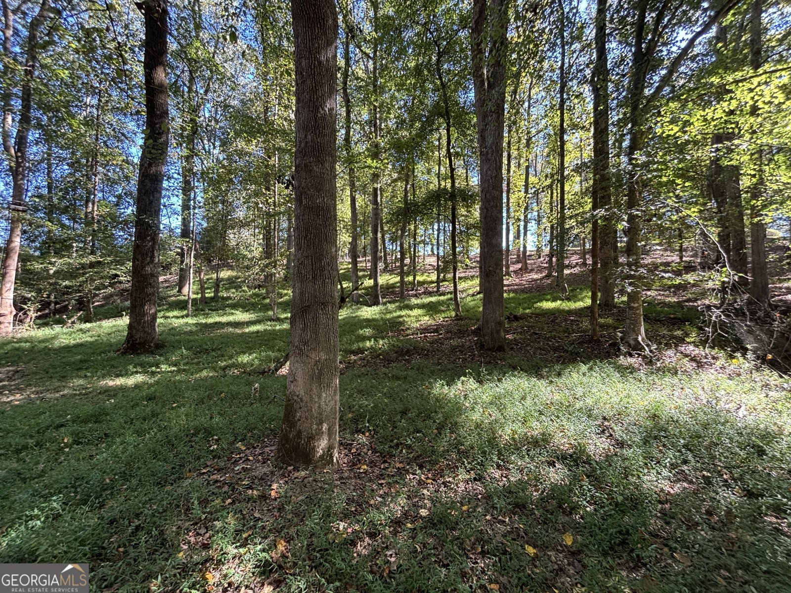 3170 Monticello Hwy Road Madison - 22