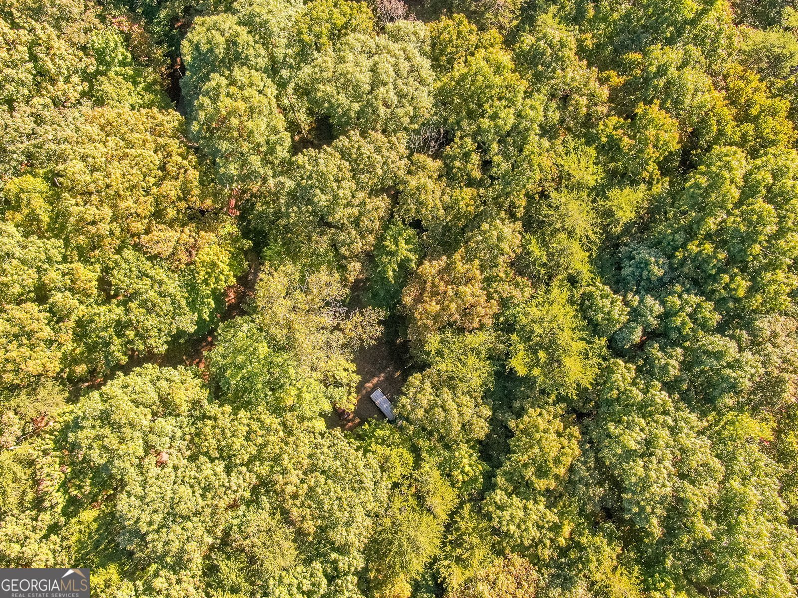 843 Fern Valley Road Ellijay - 53