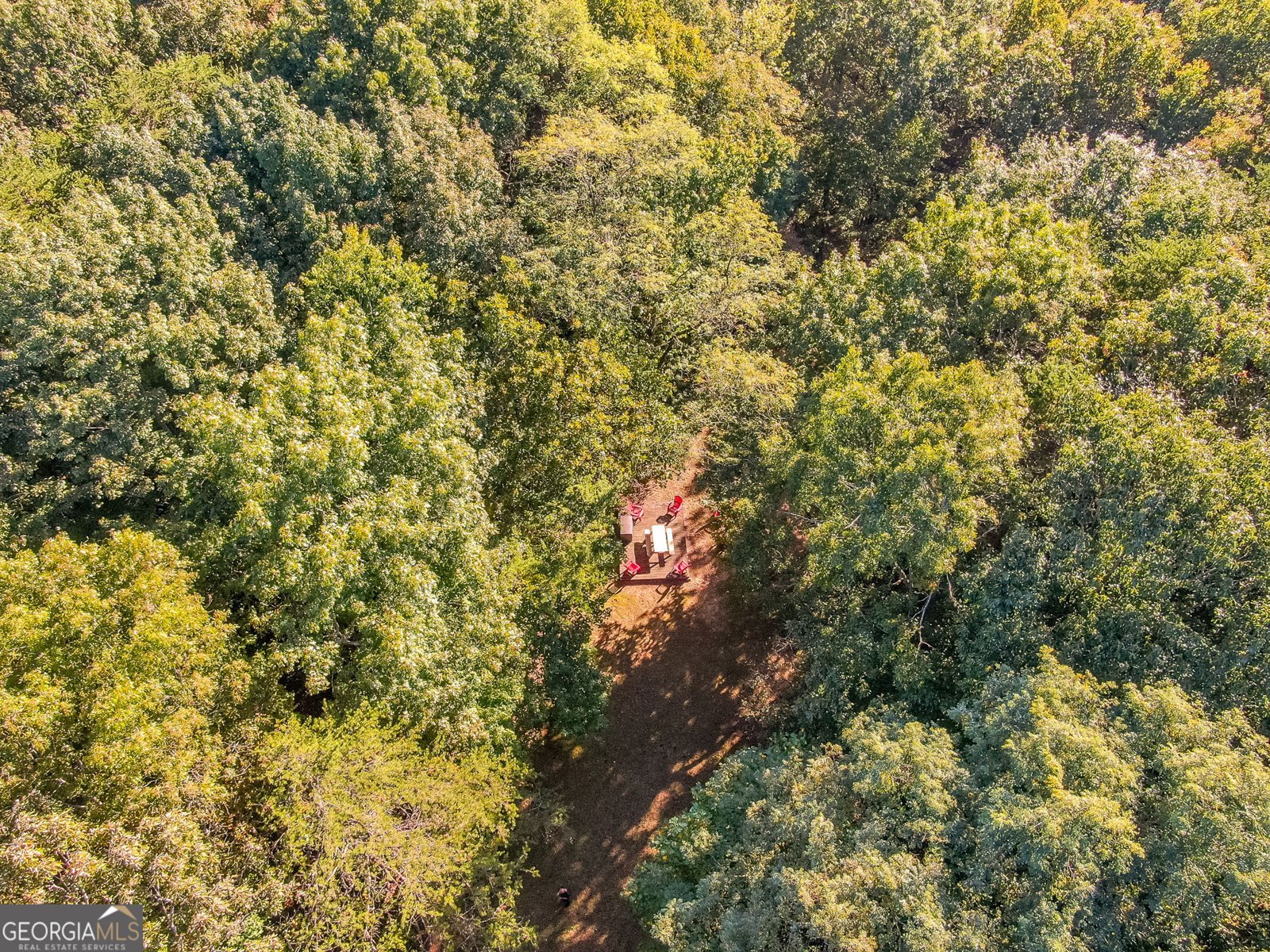 843 Fern Valley Road Ellijay - 56