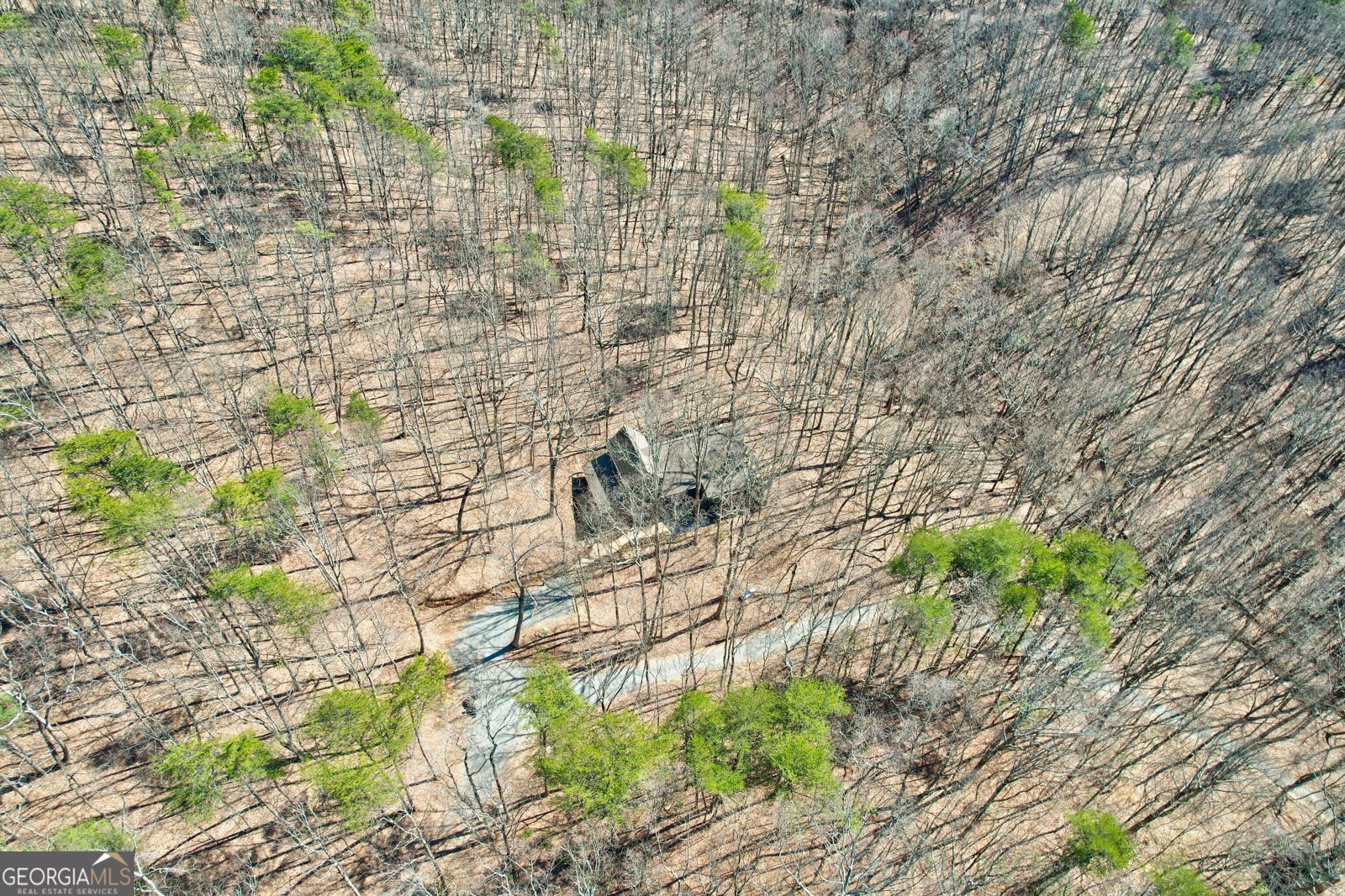 843 Fern Valley Road Ellijay - 6